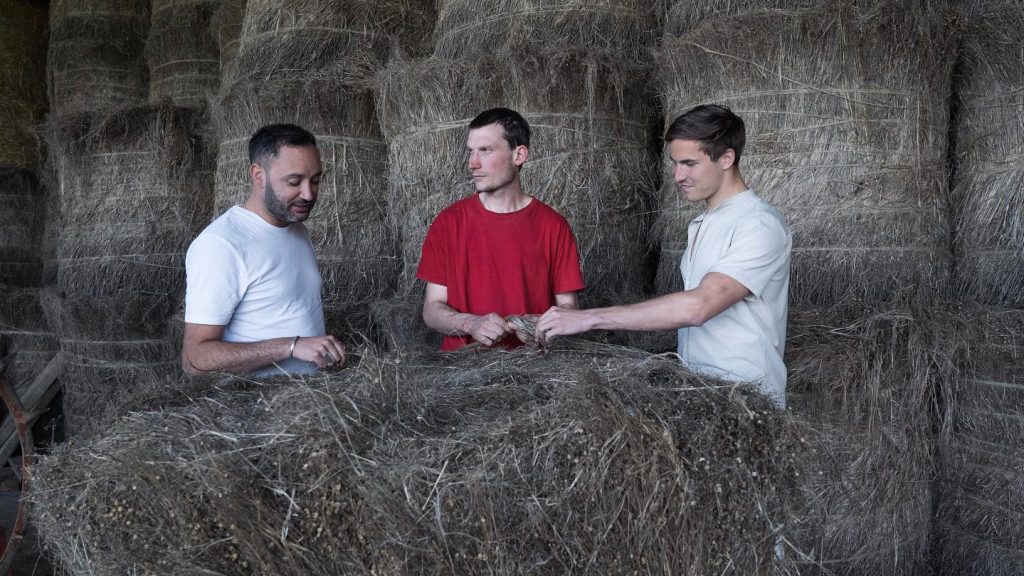 Linfini, le projet de relance d’une filature de lin en Bretagne