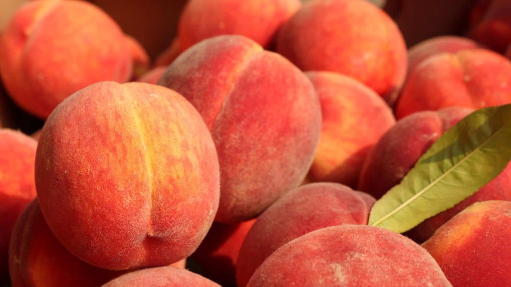 De l’été, pour une belle rentrée, on garde la pêche !