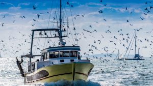 Retour de pêche d'un chalutier.