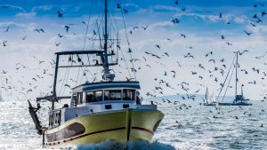 Retour de pêche d'un chalutier.