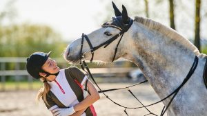 Le bien-être équin au cœur des préoccupations dans les courses hippiques