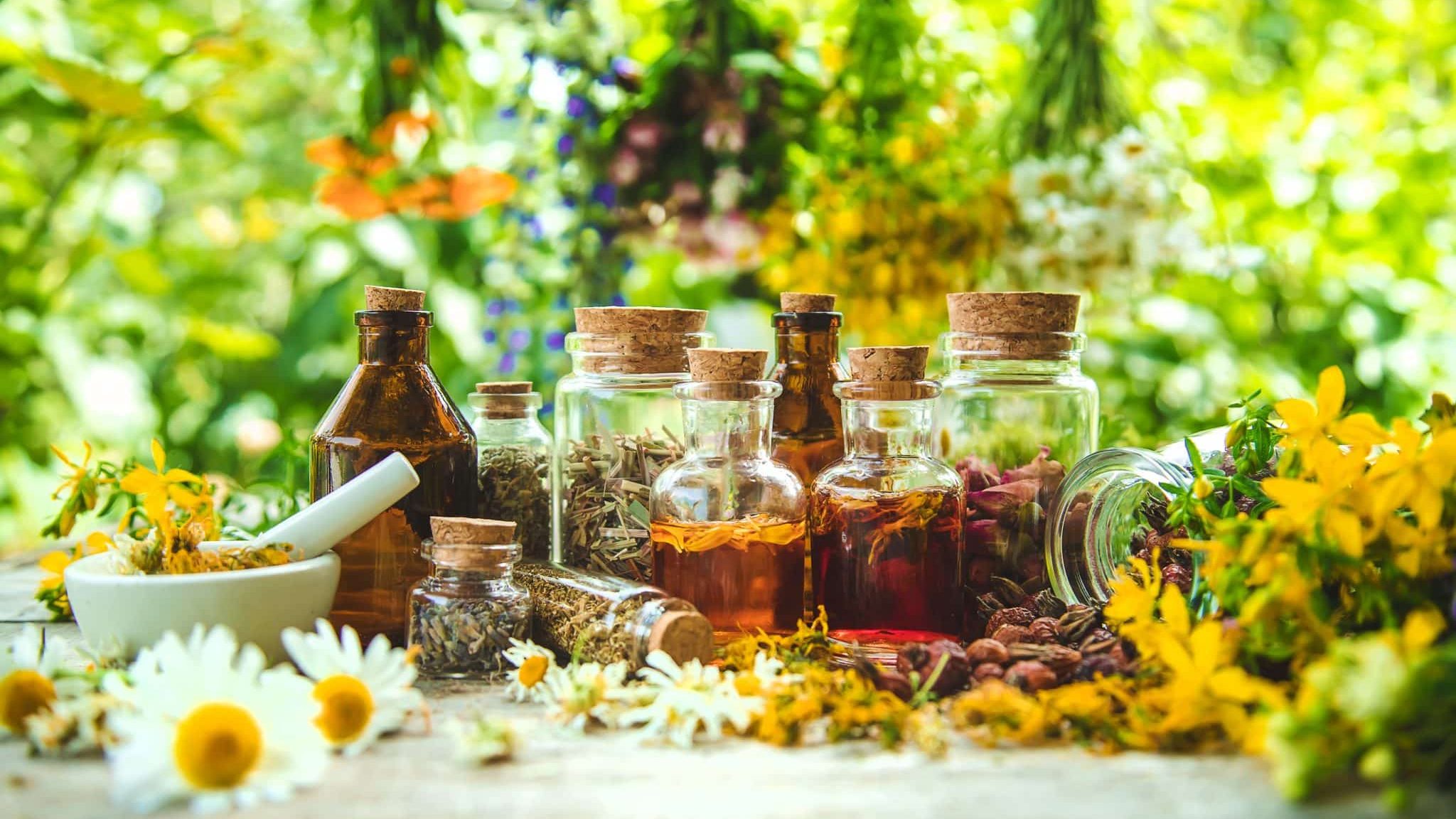 L'herboriste AirZen : tout connaître sur la tisane