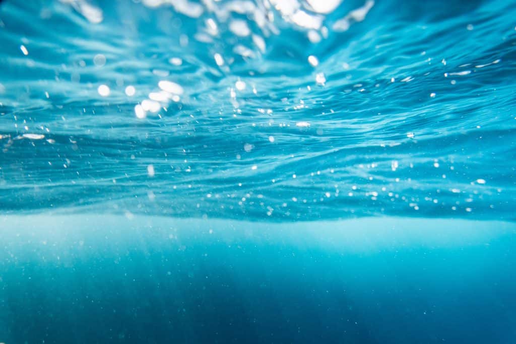 Marseille : des produits éco-conçus à partir de déchets sauvages