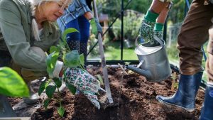 Carpentras : cultiver son petit potager en ville grâce aux jardins familiaux