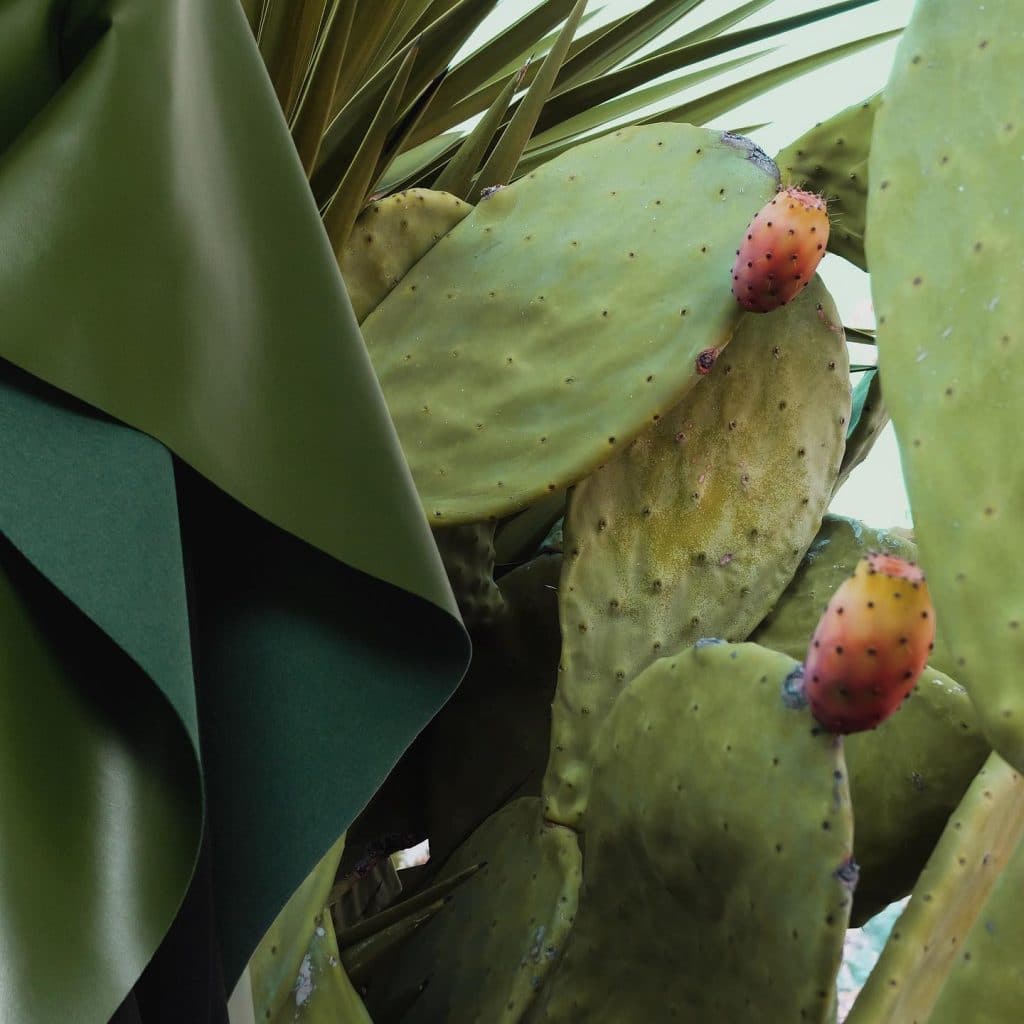 Le cuir de cactus, l’alternative vegan pour l’industrie de la mode