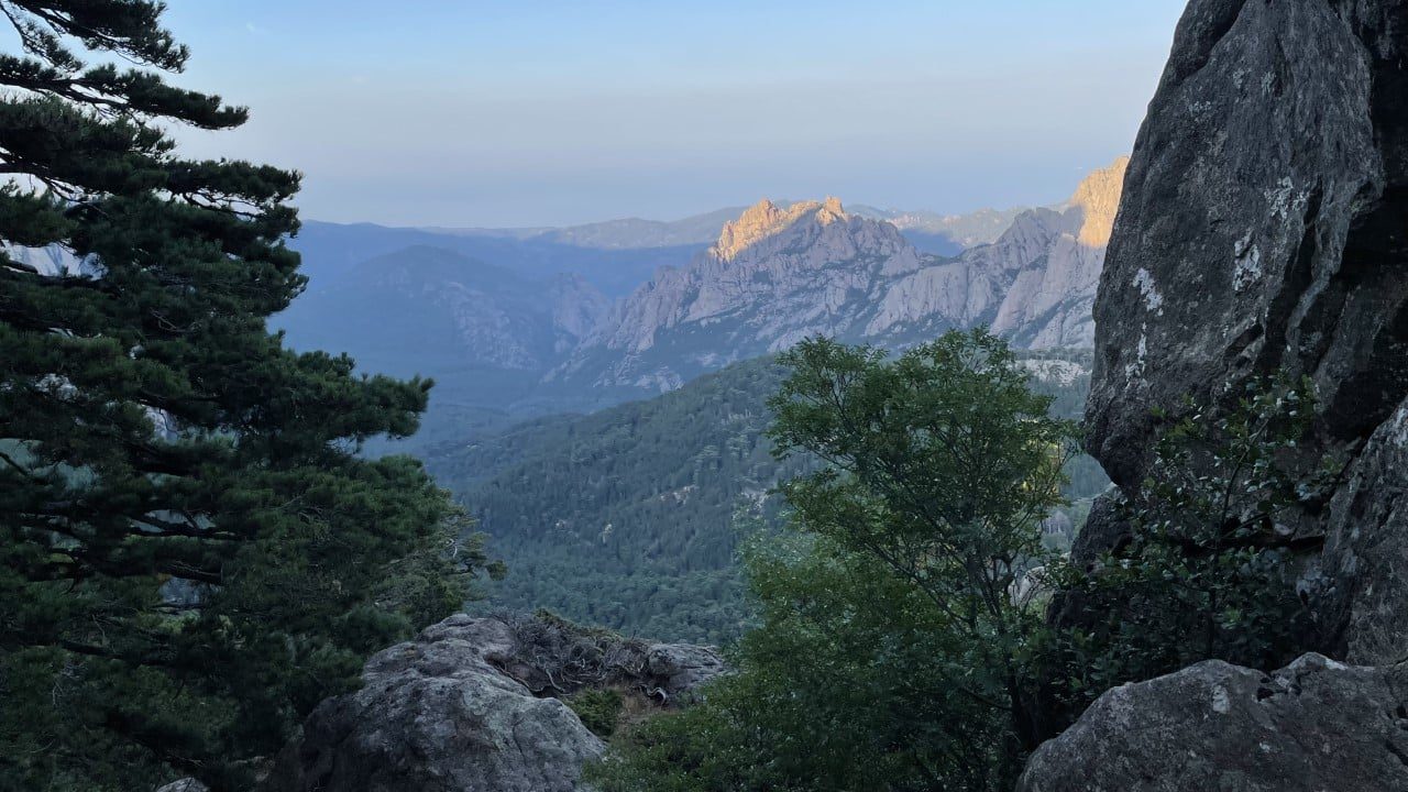 Les cocoons donnent une vue imprenable sur la foret corse