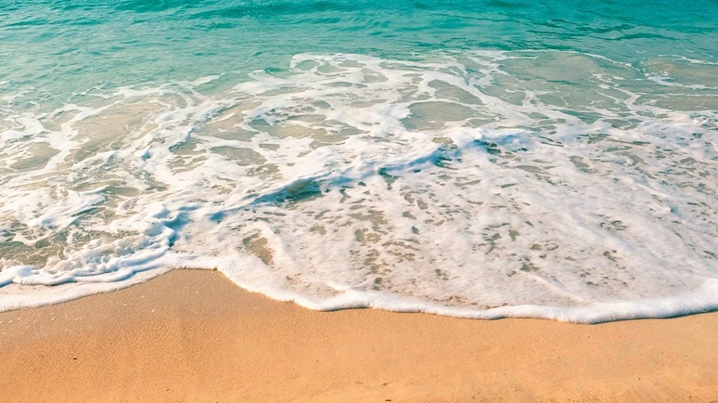 Consommation : Niu & You, la crème solaire française et écolo