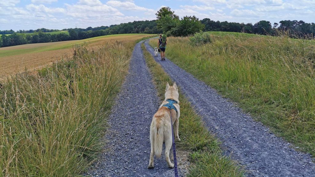 Avec Tudigo, investissez utile, local, durable et responsable