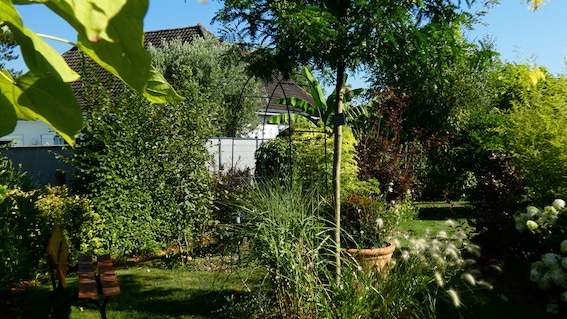 Jardin d’Elf, à Limoges : un jardin encore jeune