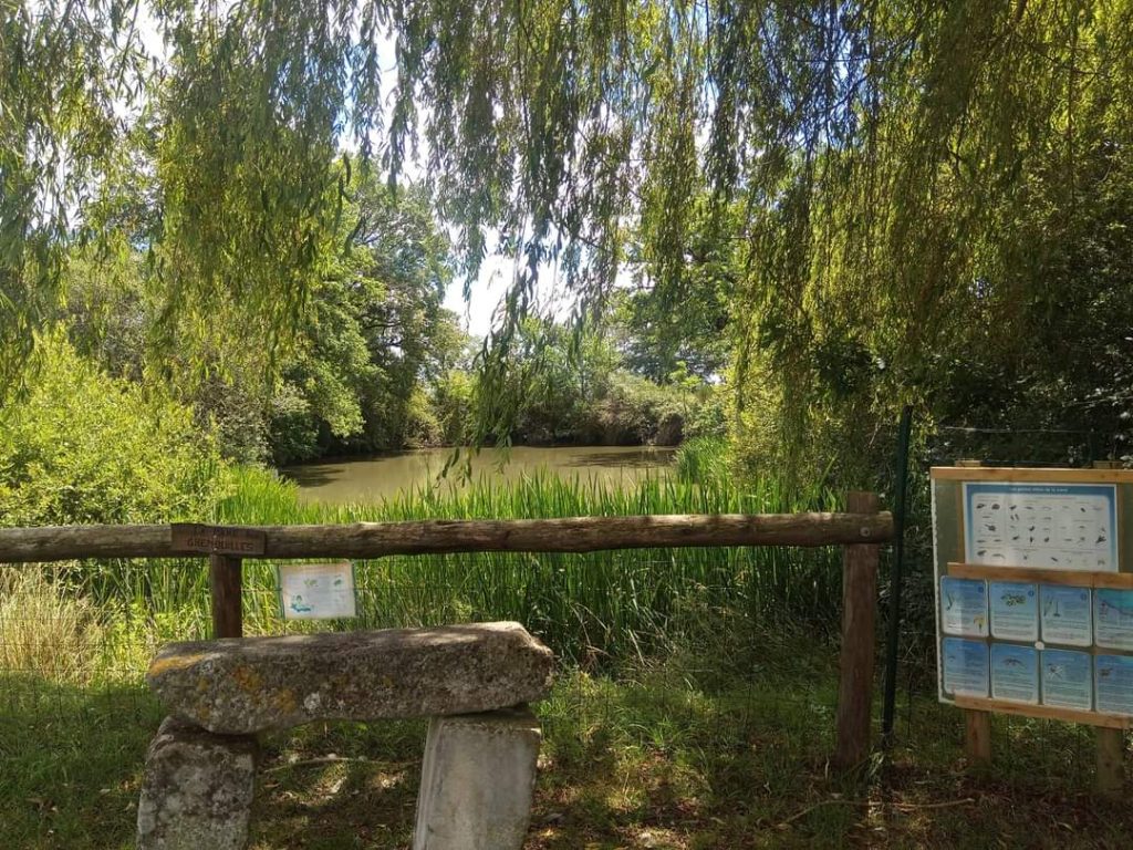 La ferme d’Arcania : 3 hectares pour se reconnecter à la nature