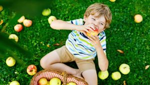 Un jeune garçon, vu de haut et assis au pied d'un pommier, croque dans une pomme