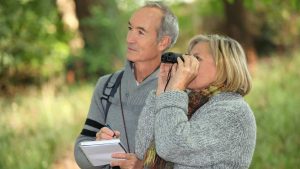 Un homme et une femme en train de recenser les écureuils