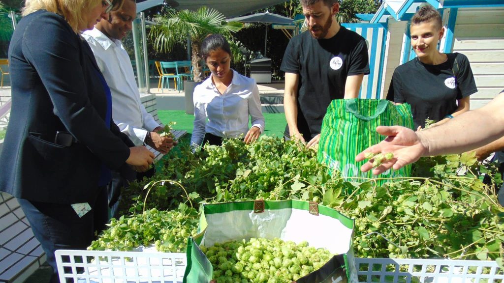 Lyon : la BOG, une bière locale qui prône le circuit court
