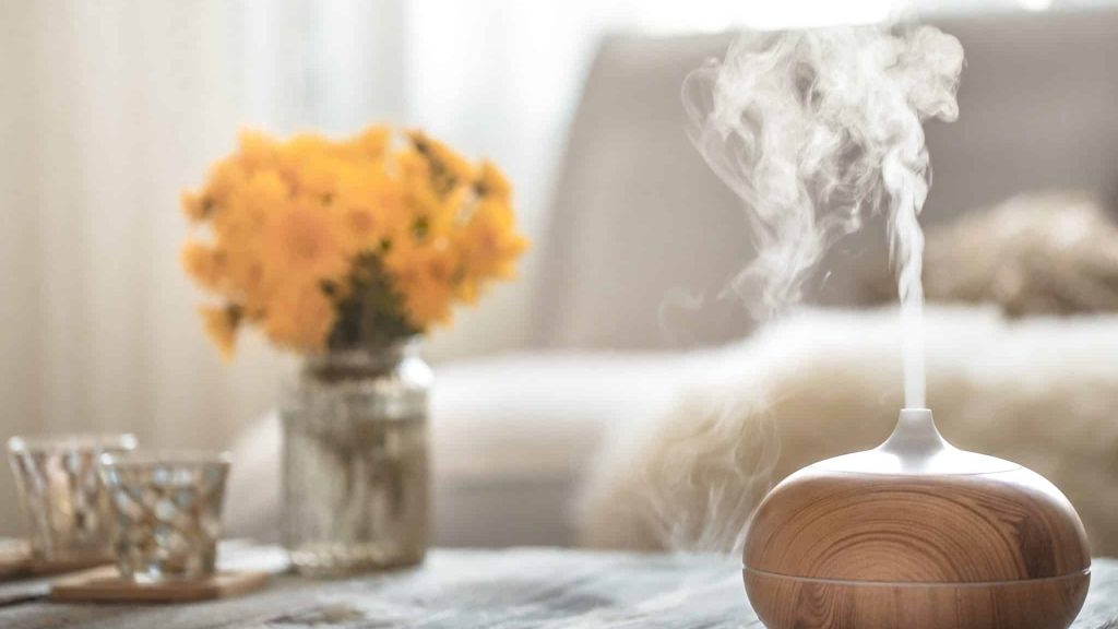 L’herboriste AirZen : utiliser les plantes pour purifier sa maison