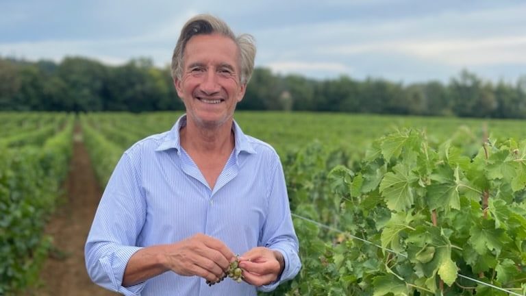 Vendanges : le climat, un élément important pour un vin de qualité