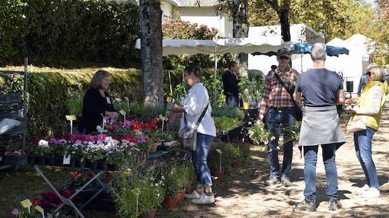 Corrèze : la fête des plantes, un lieu de savoirs et de connaissances