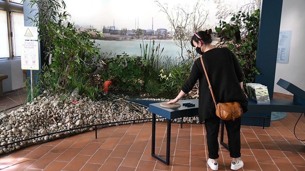 Expo : Redécouvrir les rivières lyonnaises avec « Les Pieds dans l’eau »