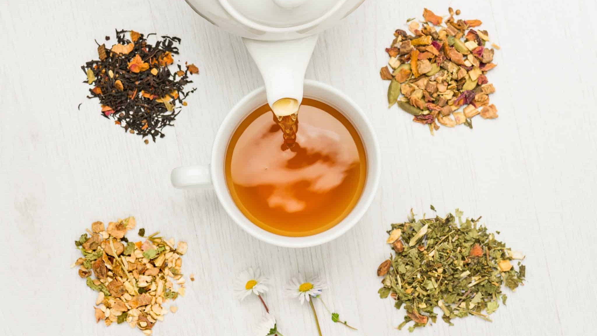 Tisanéo : composez et dégustez la tisane qui n’appartient qu’à vous