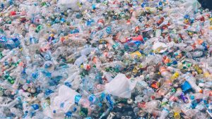 Des pots pour plantes éco-responsable en plastique recyclé