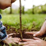 L’opération JagisJePlante pour inciter le grand public à planter