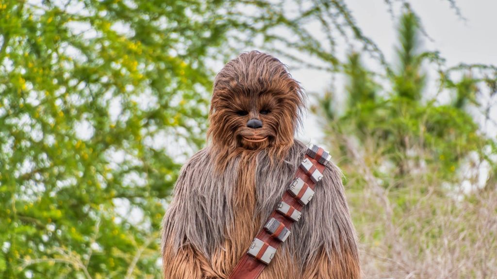 Alien, Chewbacca, monstres… Une expo décrypte les espèces imaginaires