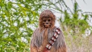 Créatures imaginaires, ici Chewbacca