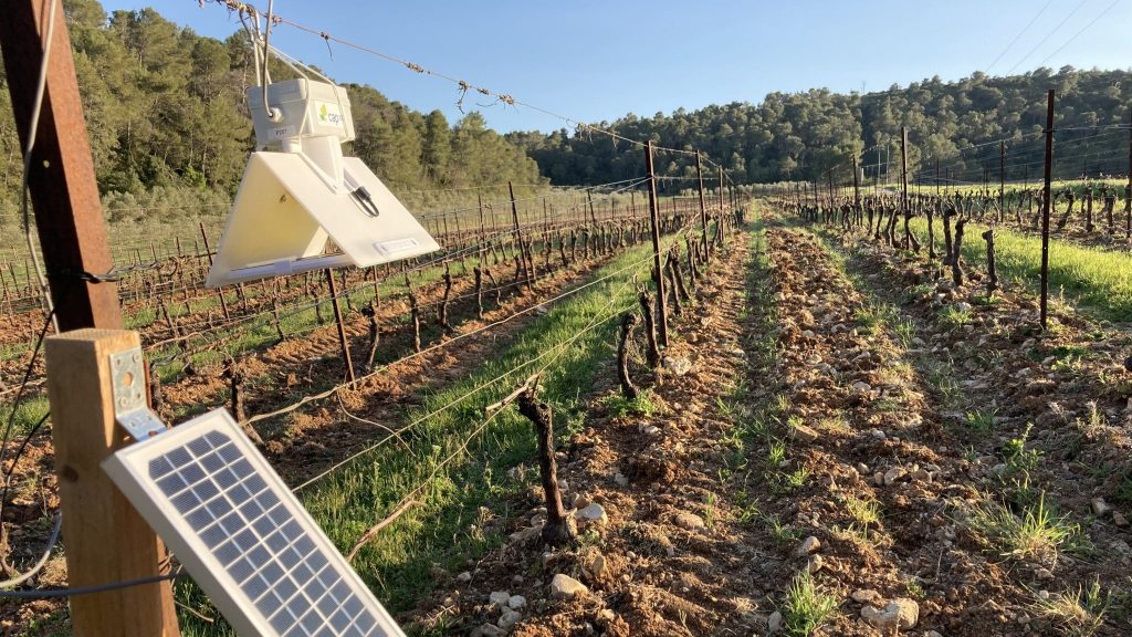 Vignes : quand la technologie se met au service de l’environnement