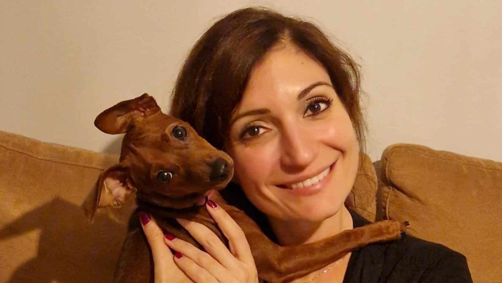 Un nouvel oracle sur les animaux totems et leur nombre sacré