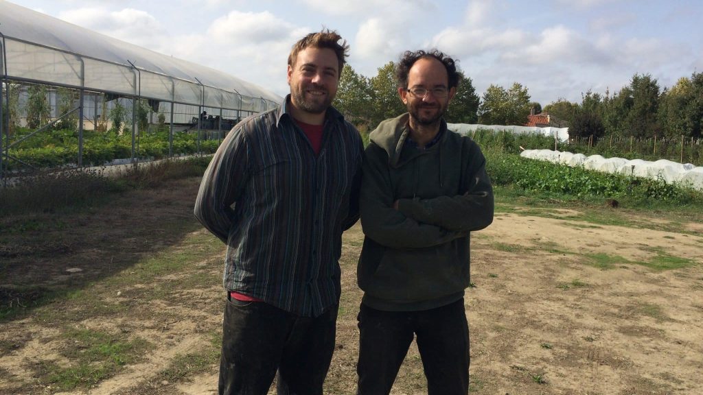Ferme en aquaponie : faire pousser des légumes grâce à des poissons