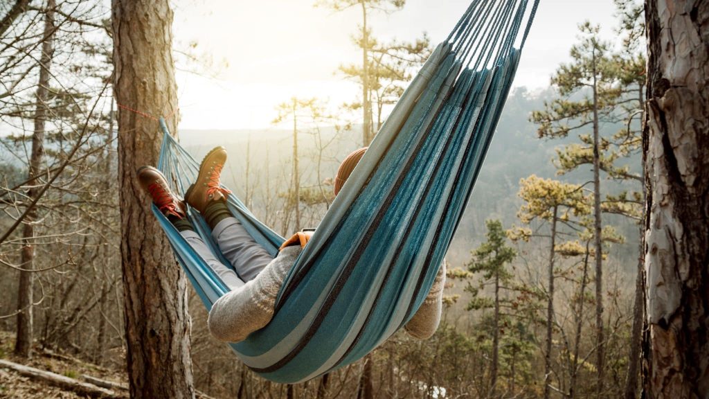 Entre authenticité et écoresponsabilité, voyagez avec MooVert !