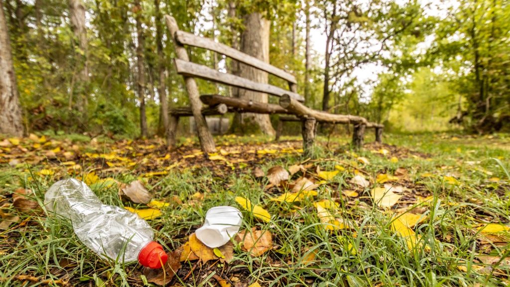 Trashback, l’application qui incite à ramasser ses déchets