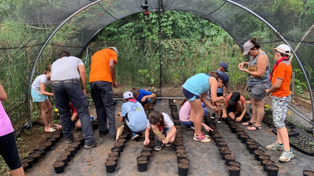 Sur l’île de la Réunion, une école pour se rapprocher de la nature