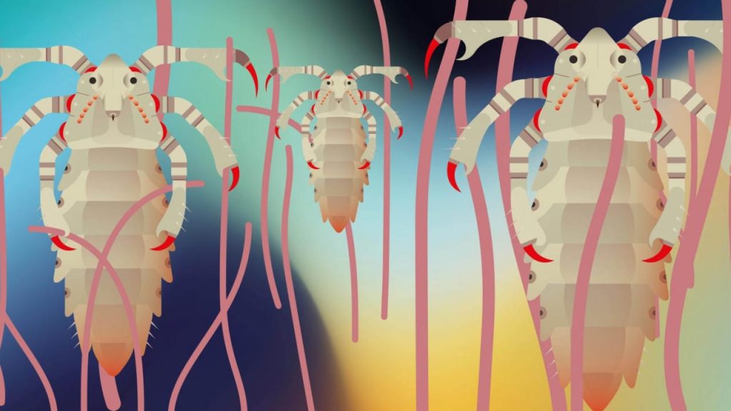 Les mini-monstres, ces petites bêtes qui cohabitent avec nous