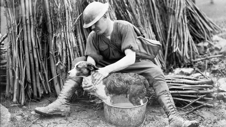 Un soldat canadien avec son chien lors de la Seconde Guerre mondiale