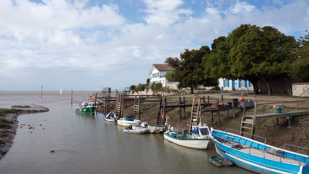 Des mouillages de bateau testés pour protéger les herbiers