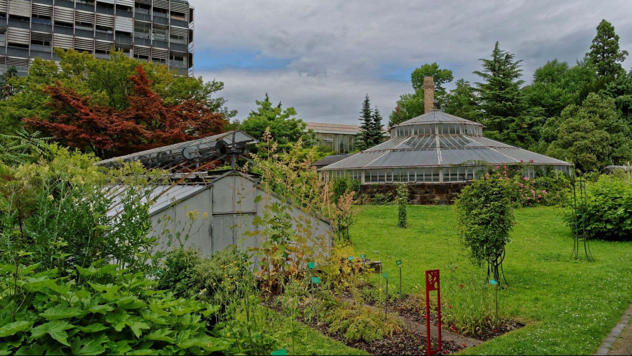 Strasbourg : une balade à la découverte du jardin botanique