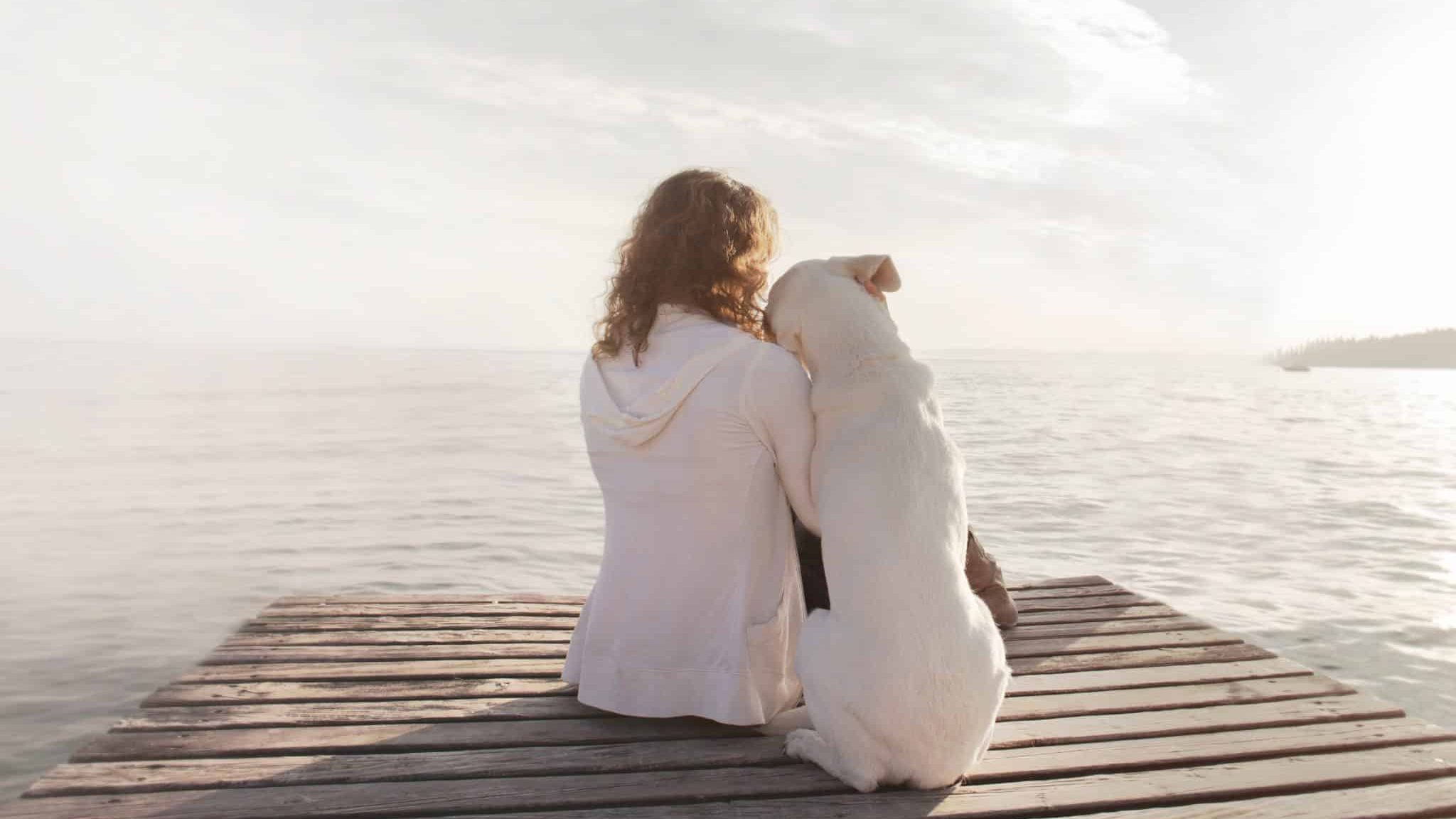 une femme et son chien de dos admirent le paysage du lac