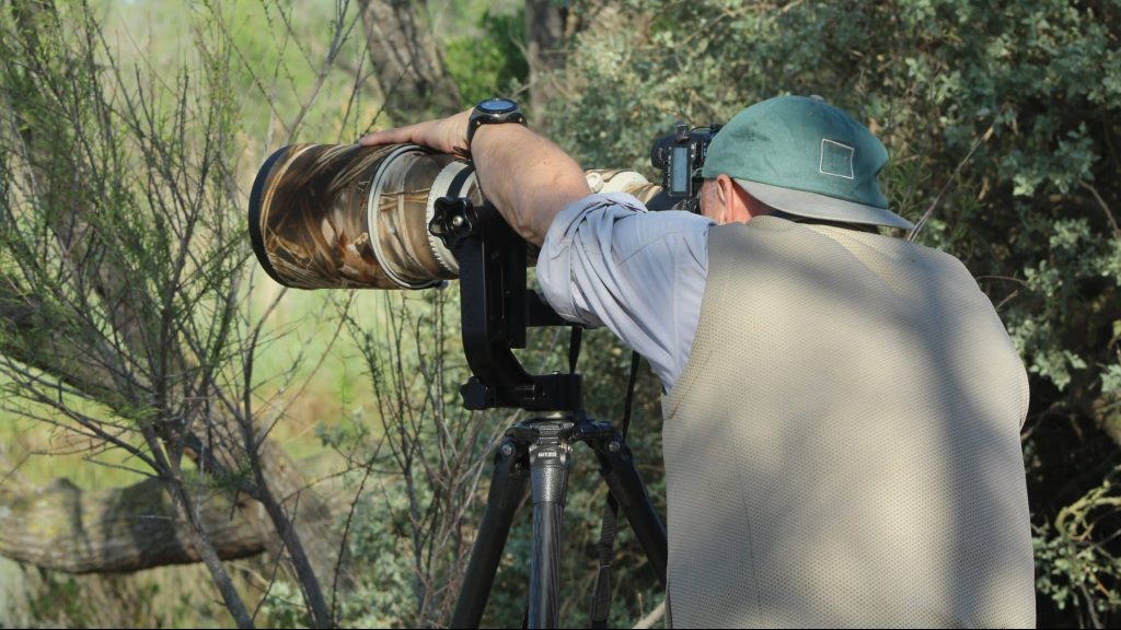 Grand Est : la photo animalière se donne rendez-vous à Montier-en-der