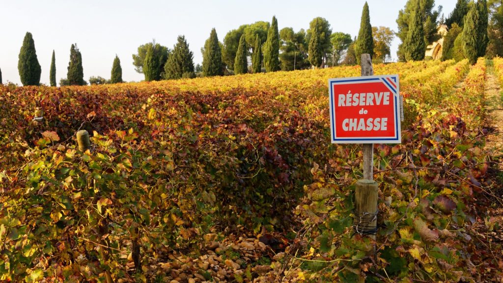 Chasseurs et promeneurs peuvent-ils mieux partager l’espace en forêt ?