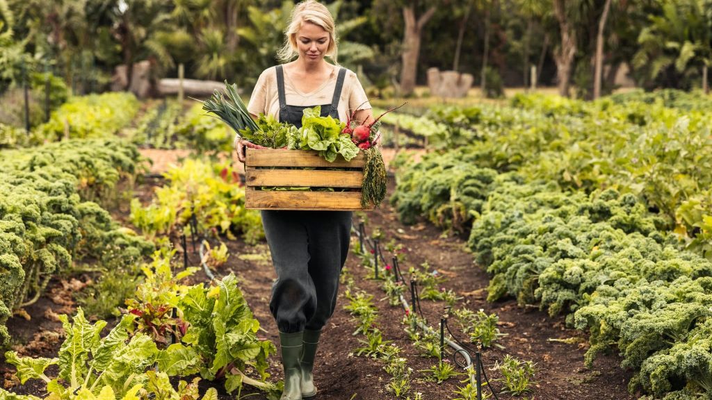Wwoofing : la passion de l’agriculture et de l’humain autour du monde