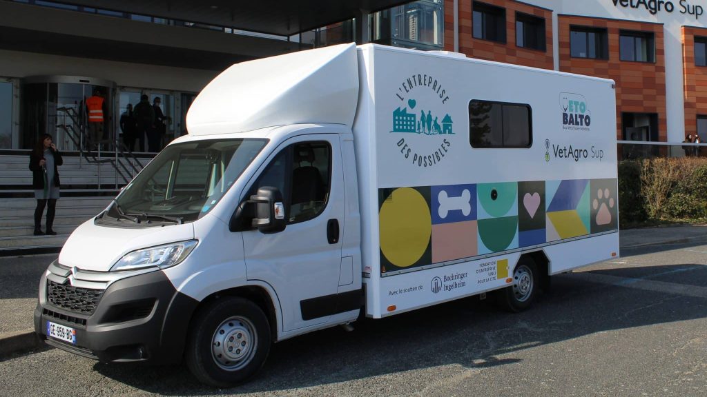 Le bus Balto, un camion vétérinaire pour soigner les animaux des sans-abris