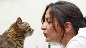 Votre chat reconnaît votre voix, c’est prouvé !