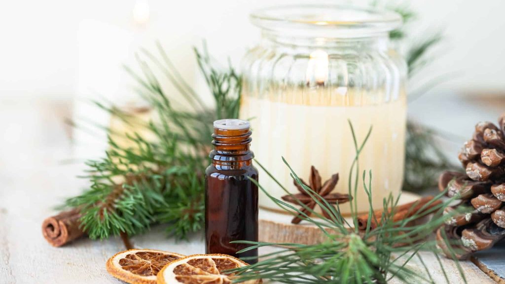 L’herboriste AirZen : pin et sapin, utiles même après les fêtes