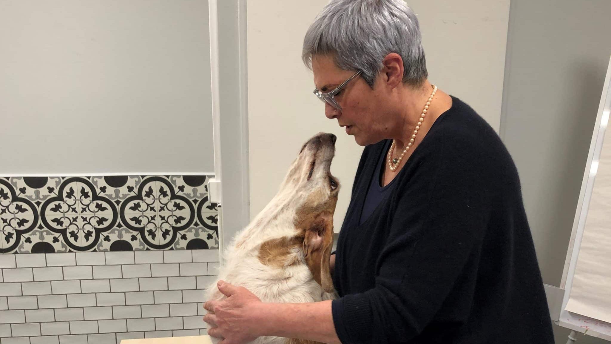 Pauline Arnt, pionnière du massage canin en France