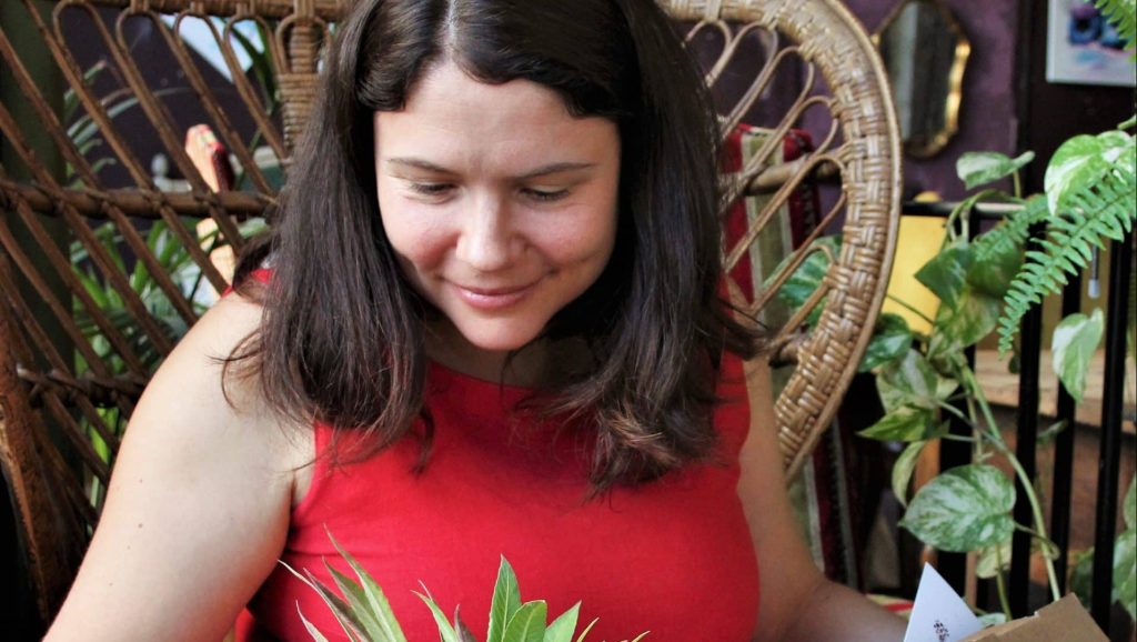 Lyon : La Pousse verte propose sapins et plantes écoresponsables