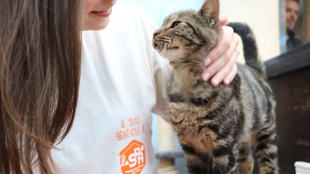 Ile-de-France : rencontre avec les pensionnaires d’un refuge de la SPA
