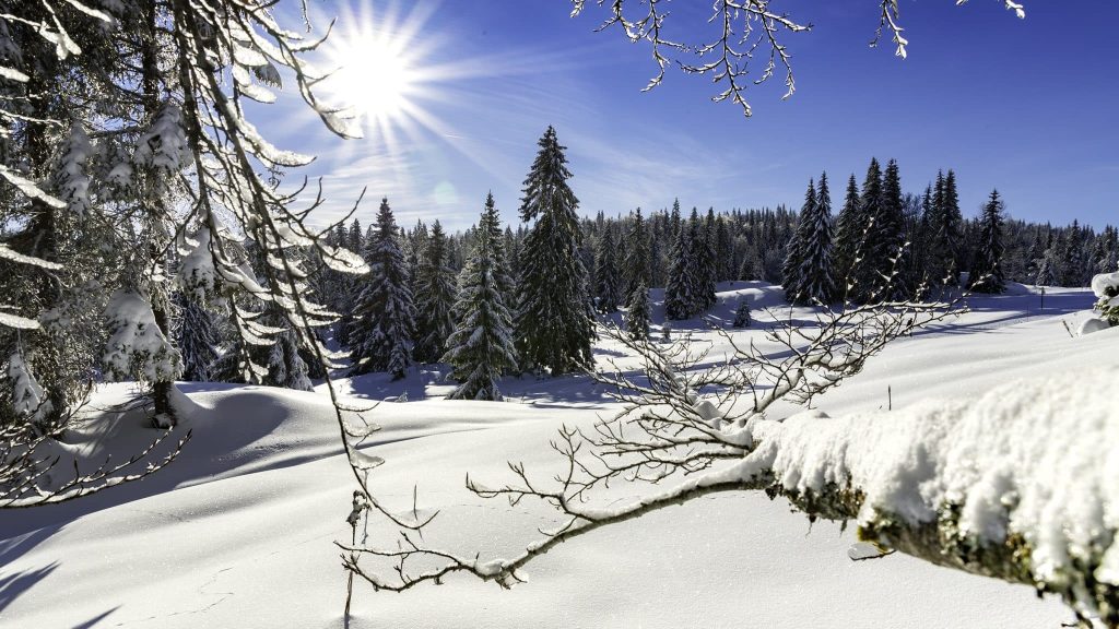 Tourisme vert : et si vous essayiez les stations du Jura cet hiver ? 