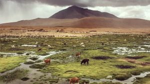 Traverser la Cordillère des Andes à vélo avec un enfant d’un an