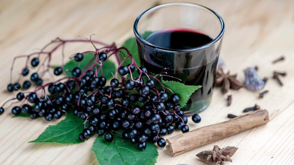 L’herboriste AirZen : le sureau, un allié pour combattre le rhume