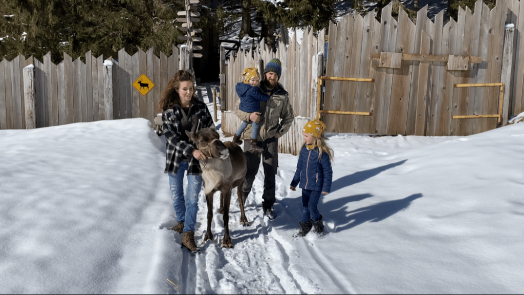 La Ferme aux rennes : un air de Laponie au cœur de l’Alsace